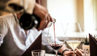 alcohol is absorbed in the human body