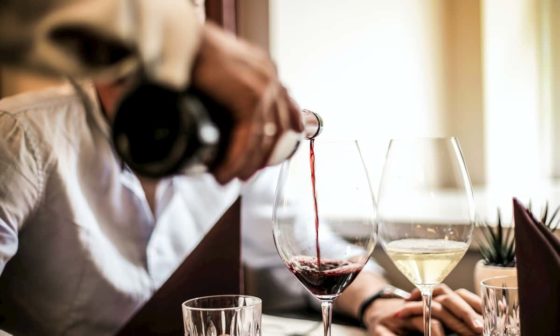alcohol is absorbed in the human body