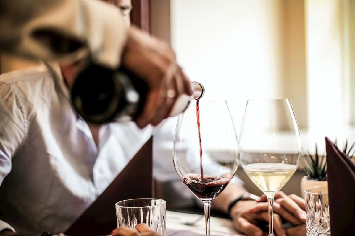 alcohol is absorbed in the human body