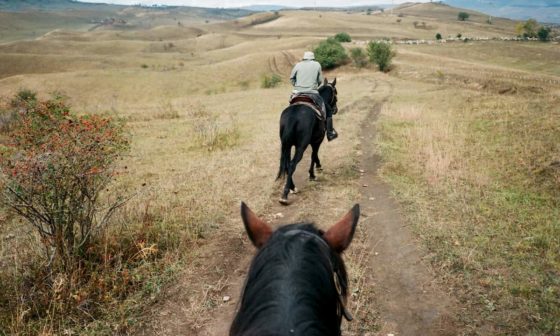 can you get a dui on a horse