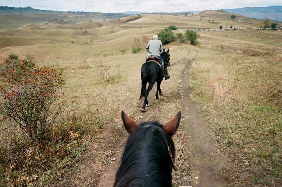 can you get a dui on a horse