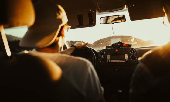 texas driver license renewal