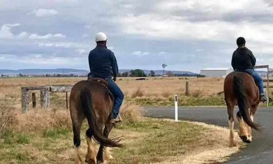 can you get a dui on a horse